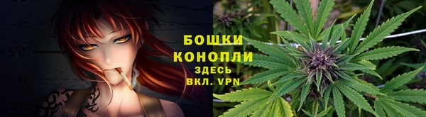 дживик Киреевск
