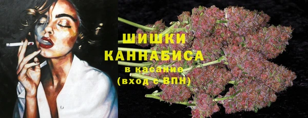 МДПВ Киренск