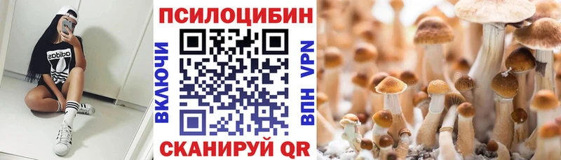 Галлюциногенные грибы Psilocybine cubensis  KRAKEN как войти  Брюховецкая 